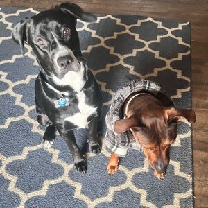 Meet your Posher, April